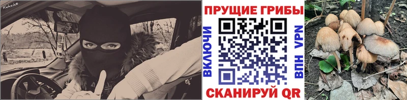 Псилоцибиновые грибы ЛСД Черемхово